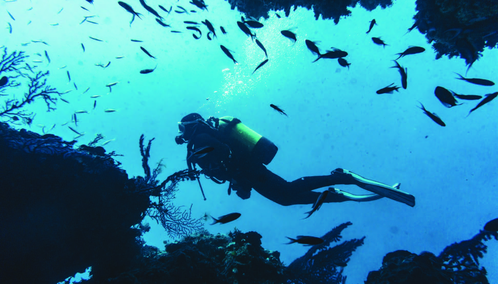 VIP-2024-CostaRica-Brochure3-1