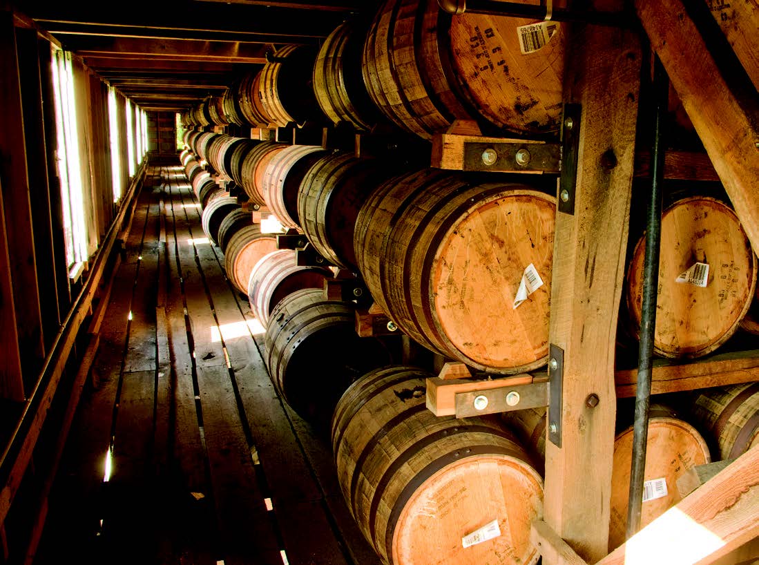 VIP-2024-Electrical-Brochure3-1